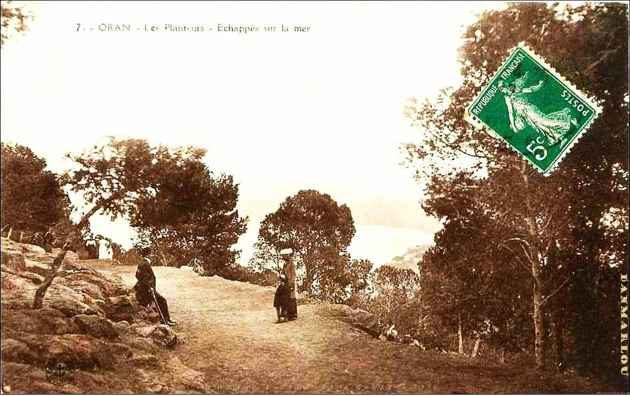 G 047- Planteurs.jpg
